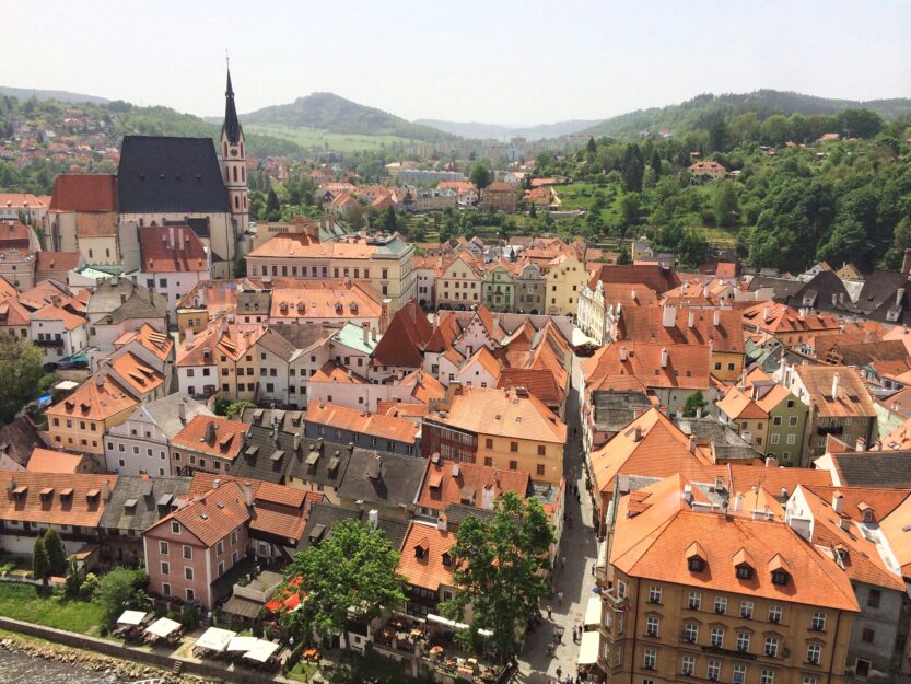 Bird eyes view from the castle.