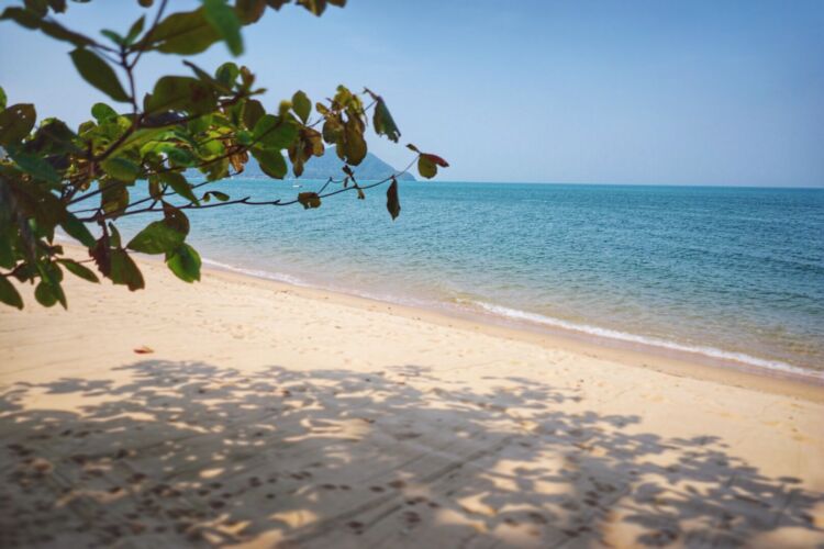 Processed with VSCOcam with s1 preset