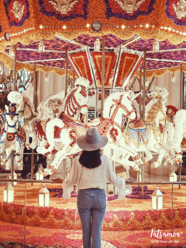 Processed with VSCO with acg preset