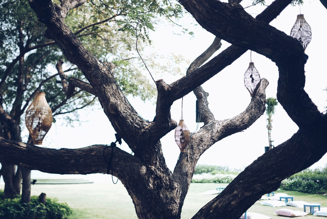 Processed with VSCO with a5 preset