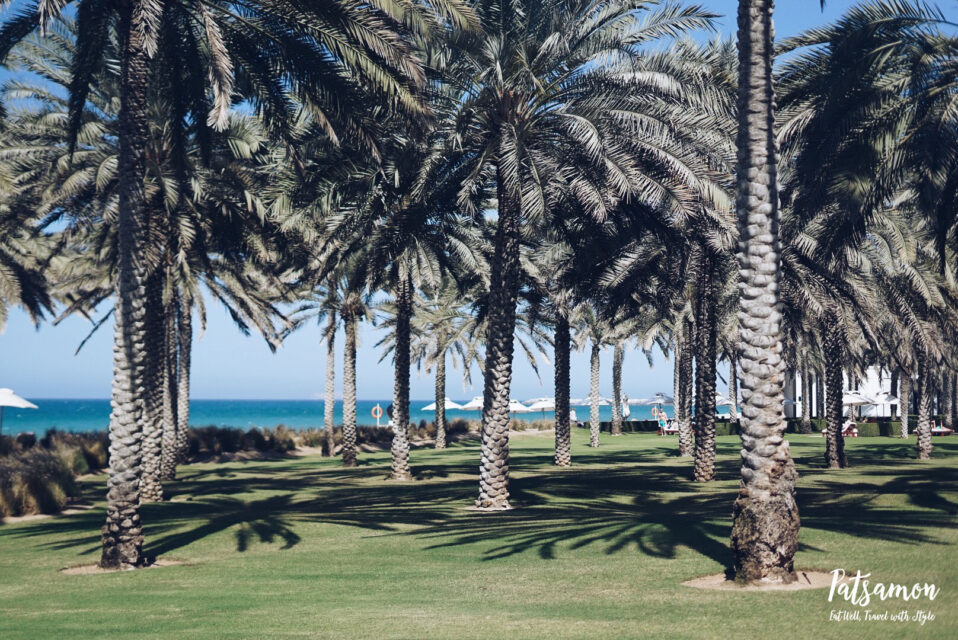 Processed with VSCO with a5 preset