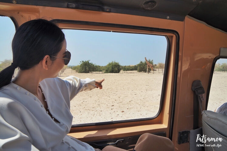 Processed with VSCO with acg preset