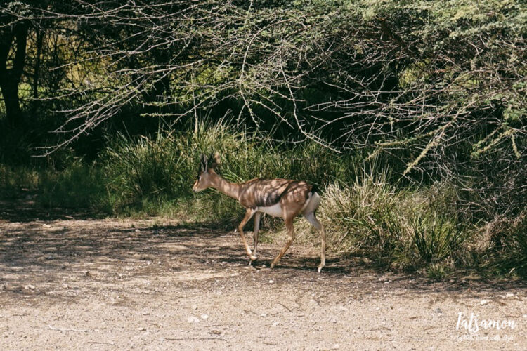 Processed with VSCO with 6 preset