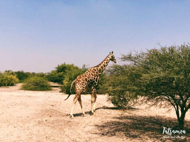 Processed with VSCO with 6 preset