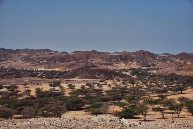 Processed with VSCO with acg preset