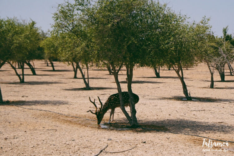 Processed with VSCO with 6 preset