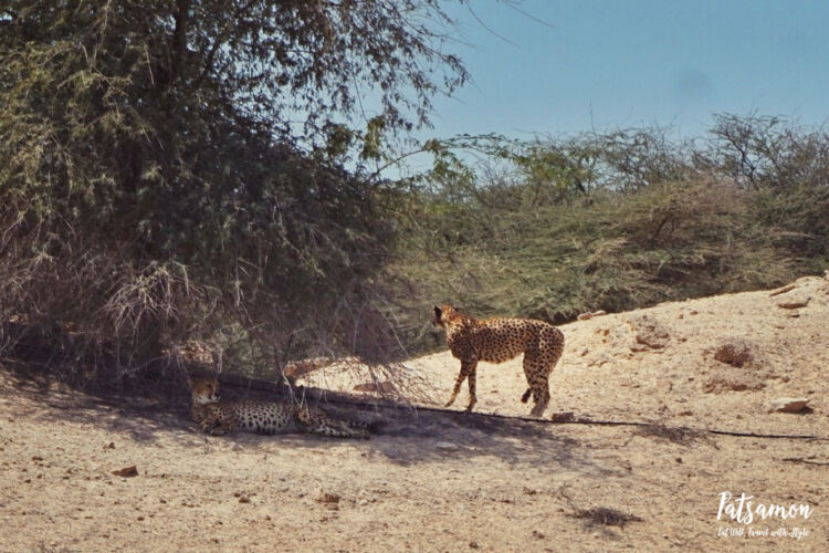 Processed with VSCO with acg preset