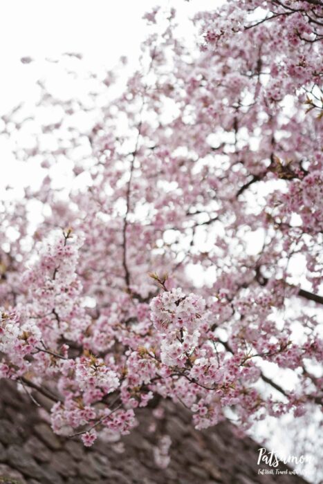 Processed with VSCO with a4 preset