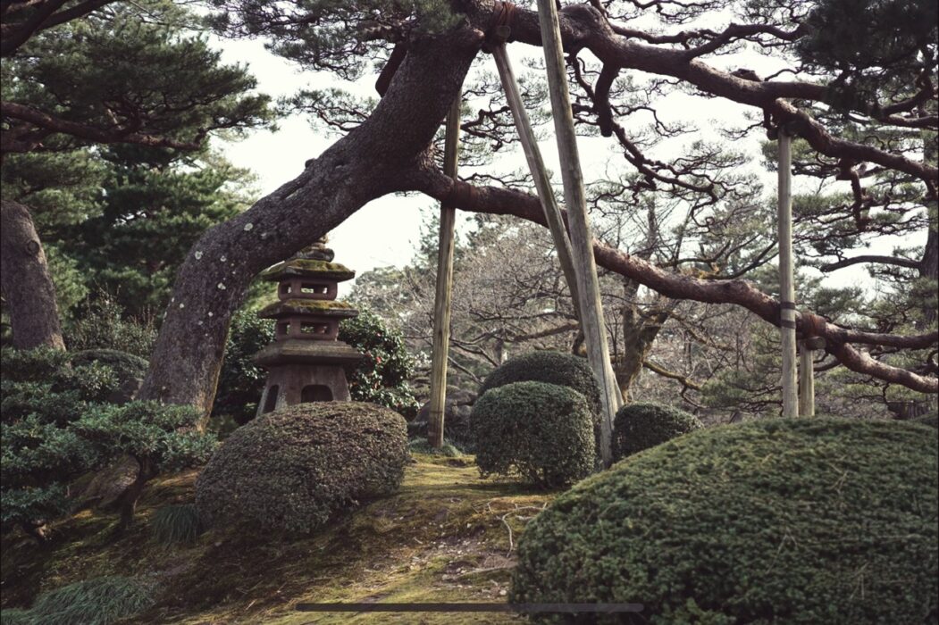 Processed with VSCO with acg preset