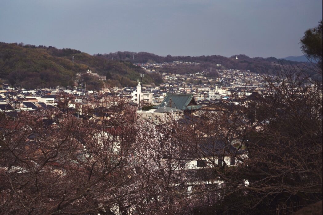 Processed with VSCO with acg preset