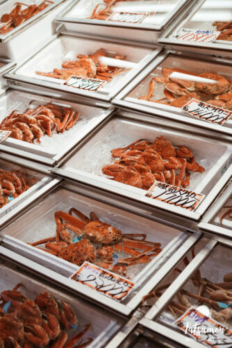 Processed with VSCO with a4 preset