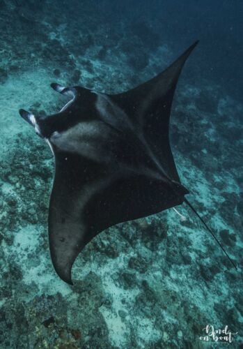 Processed with VSCO with hb2 preset