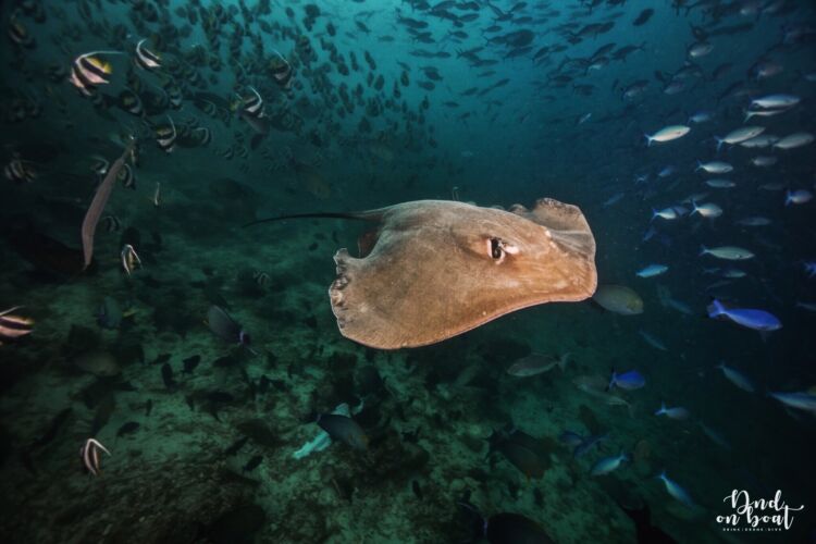 Processed with VSCO with hb2 preset