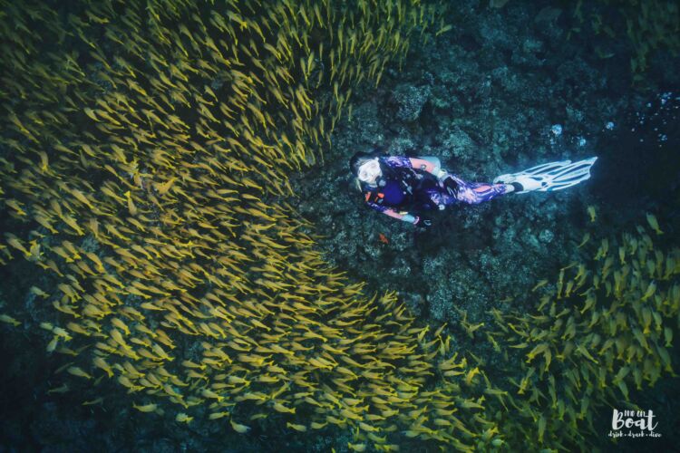 Processed with VSCO with hb2 preset