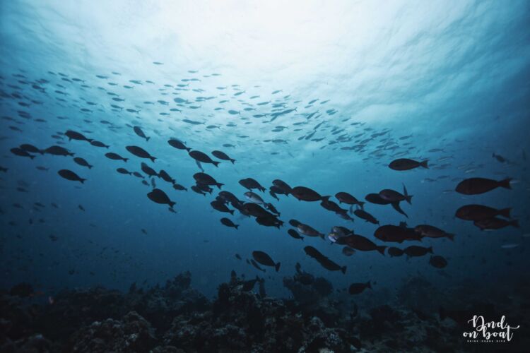 Processed with VSCO with hb2 preset