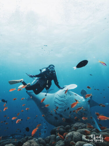 Processed with VSCO with hb2 preset