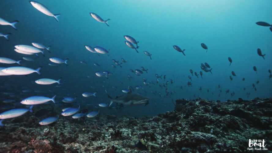 Processed with VSCO with hb2 preset