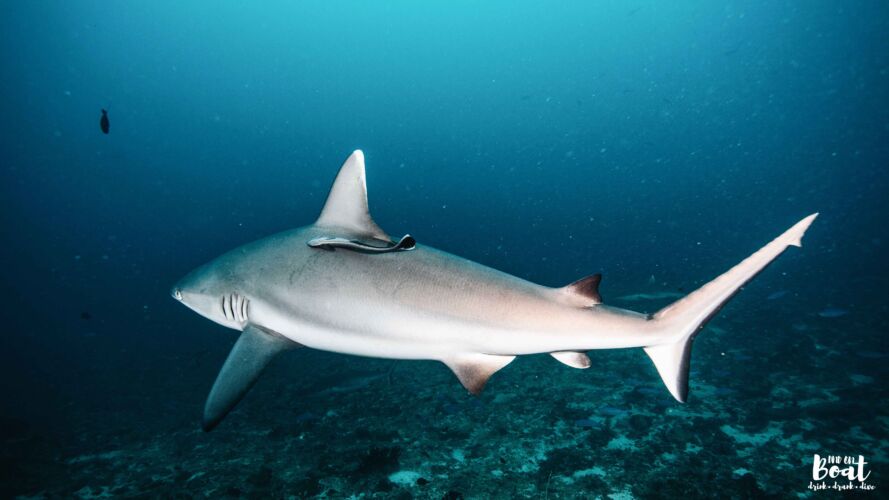 Processed with VSCO with a6 preset