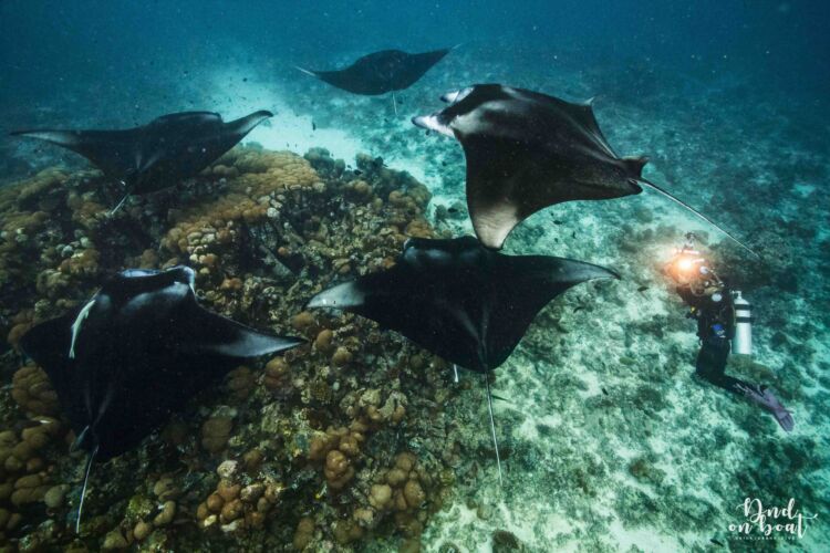 Processed with VSCO with hb2 preset