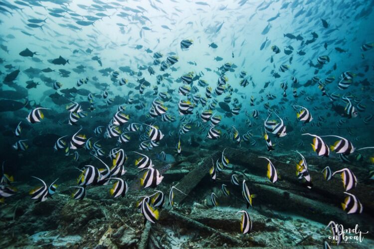 Processed with VSCO with hb2 preset