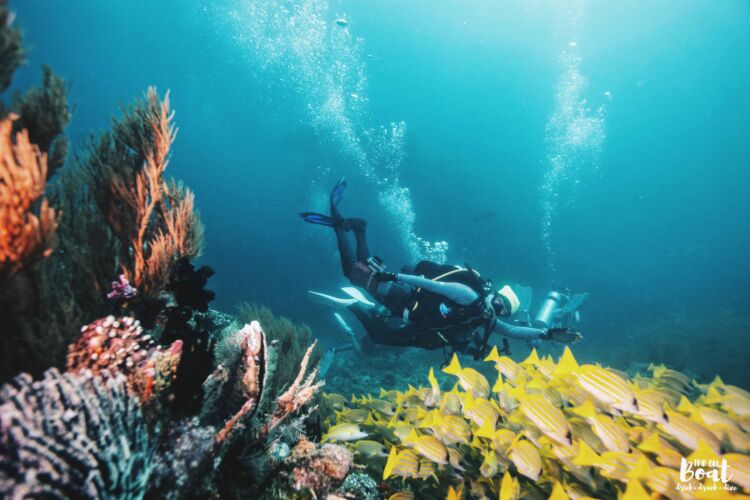 Processed with VSCO with hb2 preset