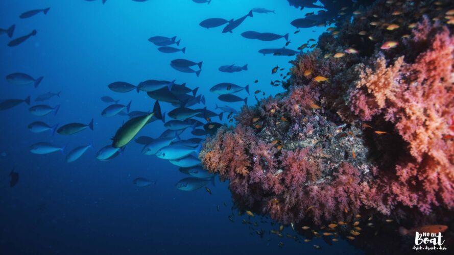 Processed with VSCO with hb2 preset