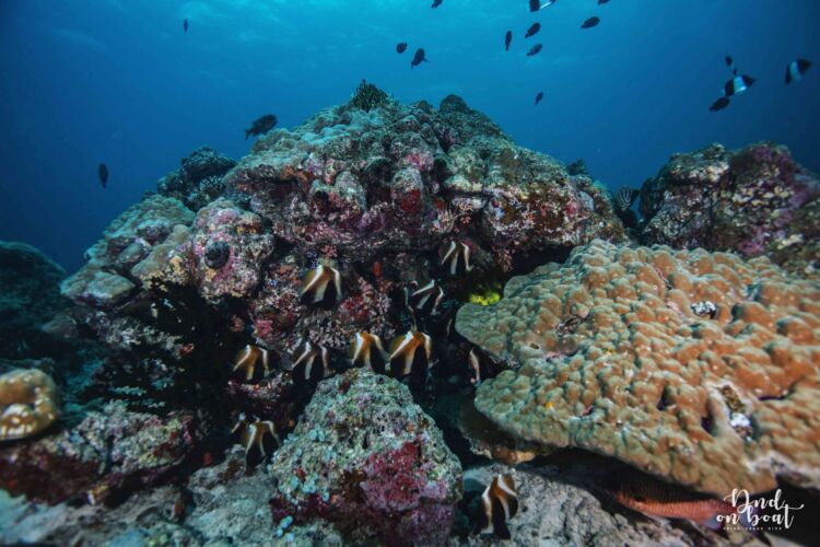 Processed with VSCO with hb2 preset