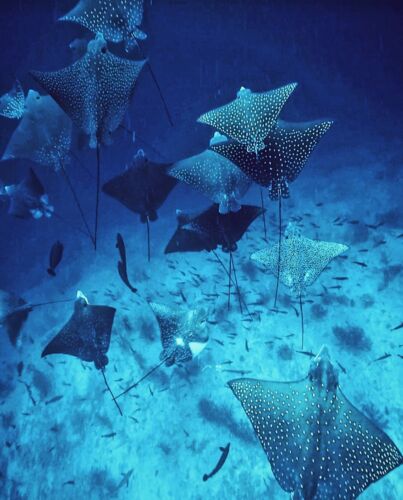 Processed with VSCO with hb2 preset