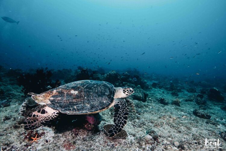 Processed with VSCO with a6 preset