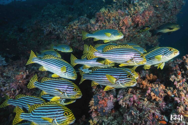 Processed with VSCO with hb2 preset