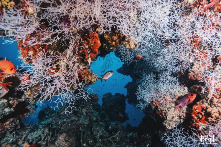 Processed with VSCO with hb2 preset