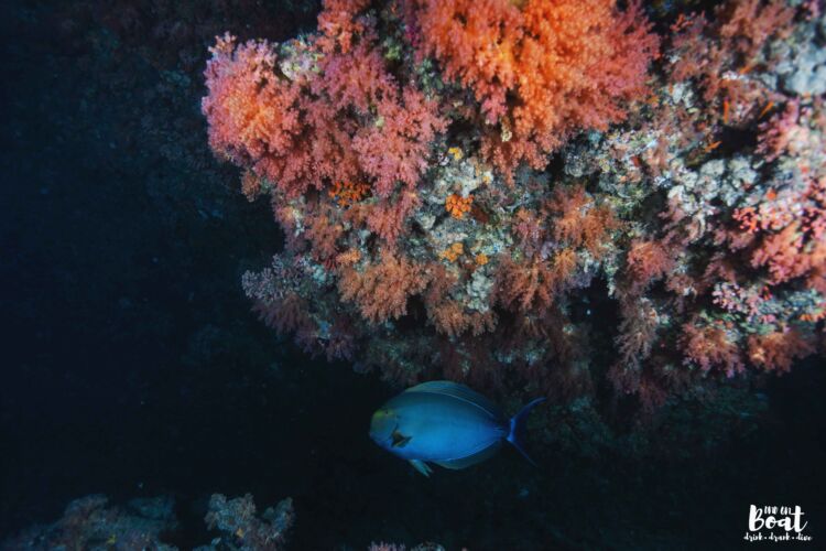 Processed with VSCO with hb2 preset