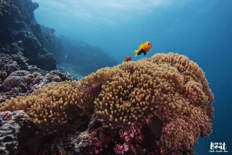 Processed with VSCO with hb2 preset