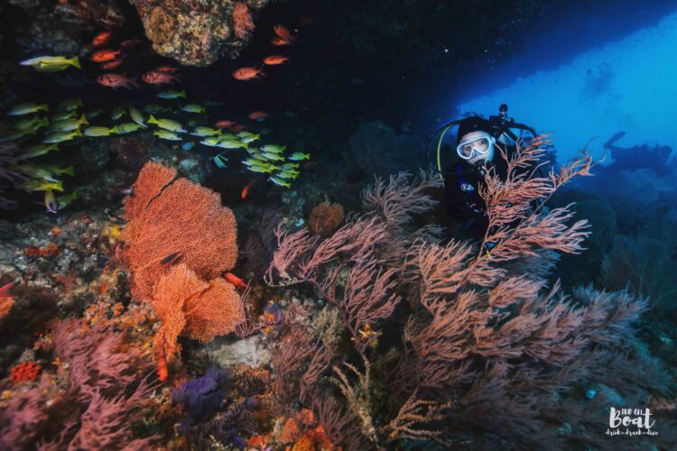 Processed with VSCO with hb2 preset