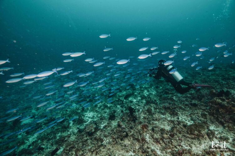 Processed with VSCO with a6 preset