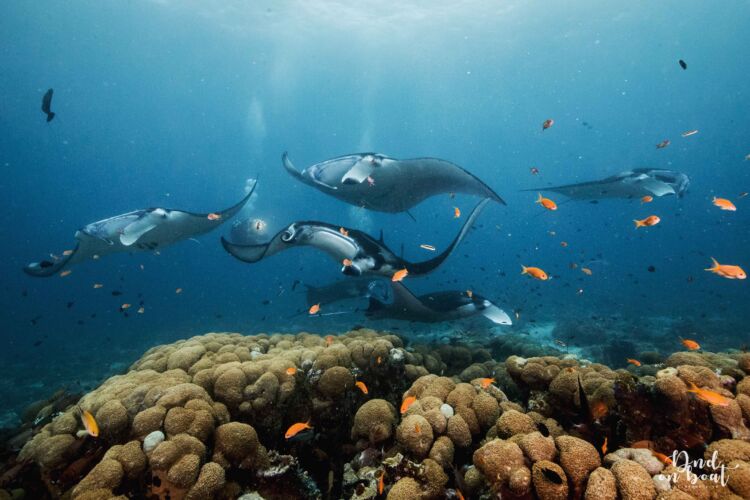 Processed with VSCO with hb2 preset