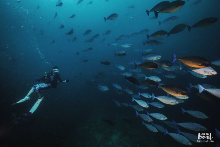 Processed with VSCO with hb2 preset