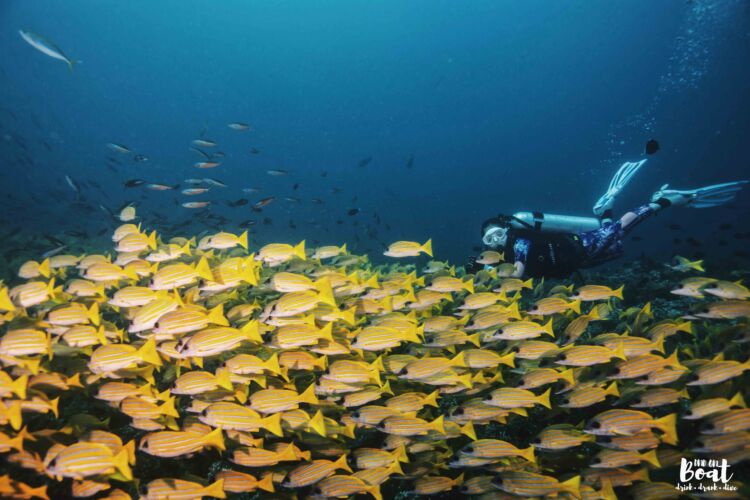 Processed with VSCO with hb2 preset