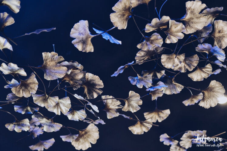 Processed with VSCO with a5 preset